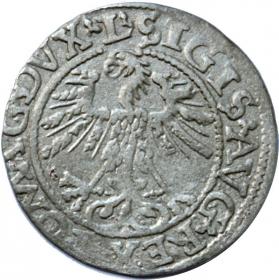 Obrazek 2 dla: Półgrosz 1562 Zygmunt II August Wilno