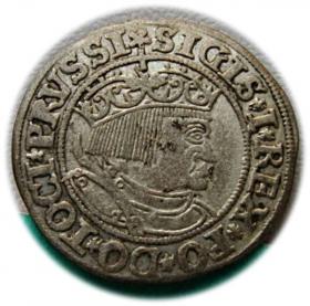 Obrazek dla: Grosz pruski 1532 Zygmunt I Stary Prusy Królewskie Toruń