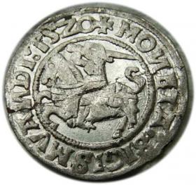 Obrazek dla: Półgrosz 1520 Zygmunt I Stary Wilno