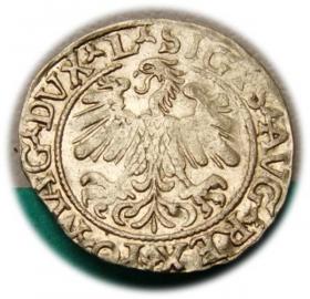 Obrazek 2 dla: Półgrosz 1559 Zygmunt II August Wilno
