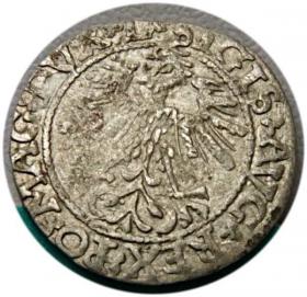 Obrazek 2 dla: Półgrosz 1562 Zygmunt II August Wilno