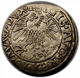 Obrazek 2 dla: Półgrosz 1559 Zygmunt II August Wilno