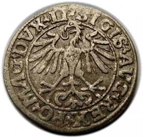 Obrazek 2 dla: Półgrosz 1550 Zygmunt II August Wilno