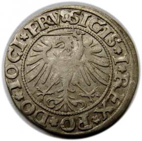 Obrazek 2 dla: Grosz 1535 Zygmunt I Stary Elbląg 