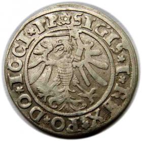 Obrazek 2 dla: Grosz 1534 Zygmunt I Stary Elbląg