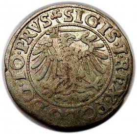 Obrazek 2 dla: Grosz 1539 Zygmunt I Stary Elbląg