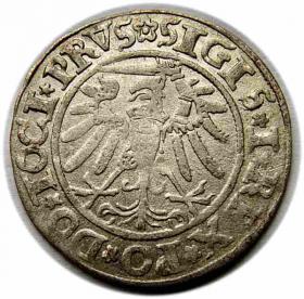 Obrazek 2 dla: Grosz 1534 Zygmunt I Stary Elbląg