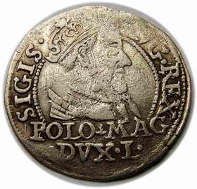 Obrazek 2 dla: Grosz 1568 Zygmunt II August Litwa Wilno