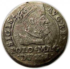 Obrazek 2 dla: Grosz litewski na stopę polską 1567 Zygmunt II August Tykocin