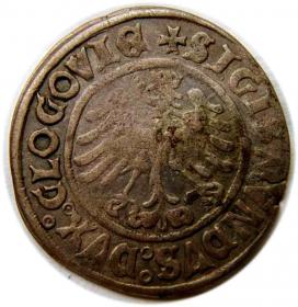 Obrazek 2 dla: Grosz 1506 Zygmunt I Stary Głogów