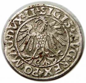Obrazek 2 dla: Półgrosz 1547 Zygmunt II August Wilno