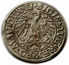 Obrazek 2 dla: Półgrosz 1548 Zygmunt II August Wilno