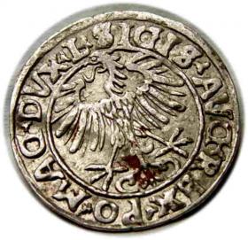Obrazek 2 dla: Półgrosz 1556 Zygmunt II August Wilno