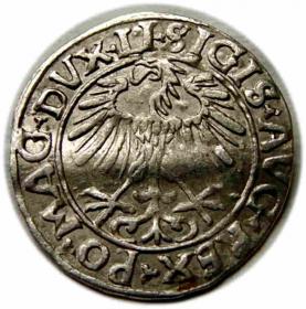 Obrazek 2 dla: Półgrosz 1556 Zygmunt II August Wilno