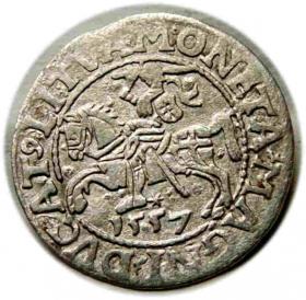 Obrazek dla: Półgrosz 1557 Zygmunt II August Wilno