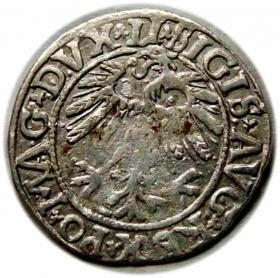 Obrazek 2 dla: Półgrosz 1558 Zygmunt II August Wilno