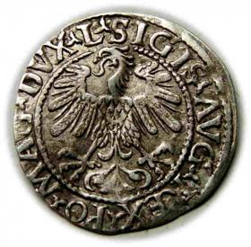 Obrazek 2 dla: Półgrosz 1559 Zygmunt II August Wilno