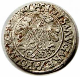 Obrazek 2 dla: Półgrosz 1558 Zygmunt II August Wilno