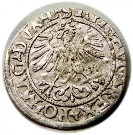 Obrazek 2 dla: Półgrosz 1560 Zygmunt II August Wilno