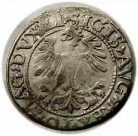 Obrazek 2 dla: Półgrosz 1560 Zygmunt II August Wilno