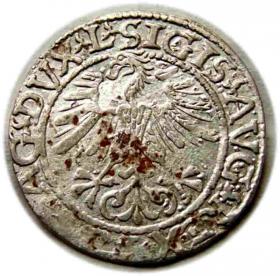 Obrazek 2 dla: Półgrosz 1561 Zygmunt II August Wilno