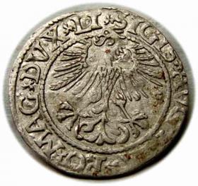 Obrazek 2 dla: Półgrosz 1561 Zygmunt II August Wilno