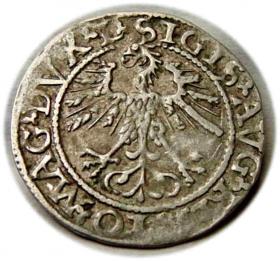 Obrazek 2 dla: Półgrosz 1562 Zygmunt II August Wilno