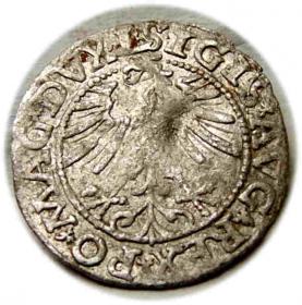 Obrazek 2 dla: Półgrosz 1563 Zygmunt II August Wilno