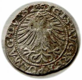 Obrazek dla: Półgrosz 1563 Zygmunt II August Wilno