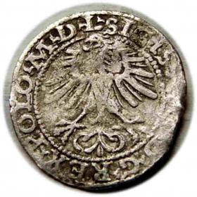 Obrazek 2 dla: Półgrosz 1564 Zygmunt II August Wilno