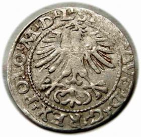 Obrazek 2 dla: Półgrosz 1564 Zygmunt II August Wilno