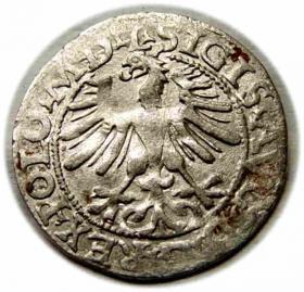 Obrazek 2 dla: Półgrosz 1564 Zygmunt II August Wilno