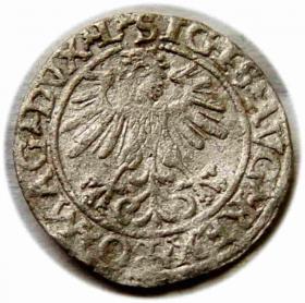 Obrazek 2 dla: Półgrosz 1560 Zygmunt II August Wilno