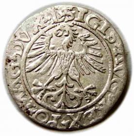 Obrazek 2 dla: Półgrosz 1561 Zygmunt II August Wilno