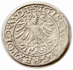 Obrazek 2 dla: Półgrosz 1565 Zygmunt II August Wilno