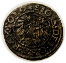 Obrazek 2 dla: Szeląg 1547 Zygmunt I Stary Gdańsk