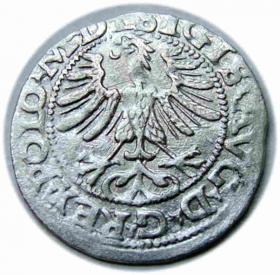 Obrazek 2 dla: Półgrosz 1565 Zygmunt II August Wilno