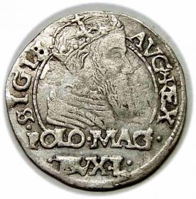 Obrazek 2 dla: Grosz 1566 Zygmunt II August Wilno