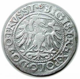 Obrazek 2 dla: Grosz 1540 Zygmunt I Stary Elbląg
