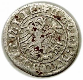 Obrazek 2 dla: Półgrosz 1510 Zygmunt I Stary Wilno