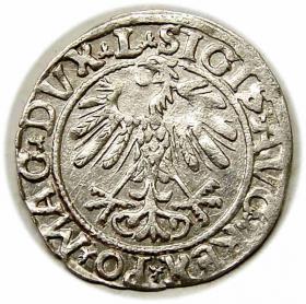 Obrazek 2 dla: Półgrosz 1558 Zygmunt II August Wilno