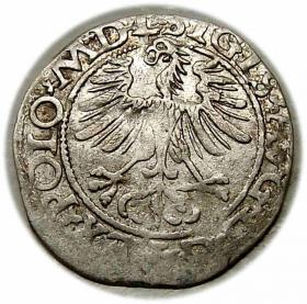 Obrazek 2 dla: Półgrosz 1565 Zygmunt II August Wilno