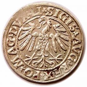 Obrazek 2 dla: Półgrosz 1547 Zygmunt II August Wilno