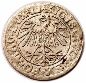 Obrazek 2 dla: Półgrosz 1547 Zygmunt II August Wilno