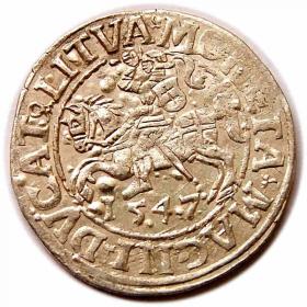 Obrazek dla: Półgrosz 1547 Zygmunt II August Wilno