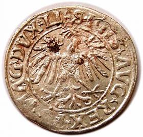 Obrazek 2 dla: Półgrosz 1547 Zygmunt II August Wilno