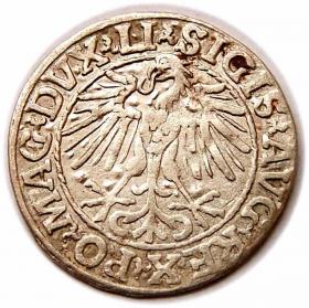 Obrazek 2 dla: Półgrosz 1548 Zygmunt II August Wilno