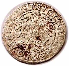 Obrazek 2 dla: Półgrosz 1548 Zygmunt II August Wilno