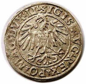 Obrazek 2 dla: Półgrosz 1548 Zygmunt II August Wilno