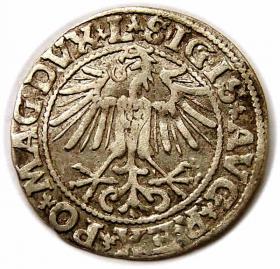 Obrazek 2 dla: Półgrosz 1549 Zygmunt II August Wilno
